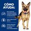 354 g Hill's Prescription Diet Gastrointestinal Biome Estofado Pollo y Verduras lata para perros, , large indicador imagen numero 4